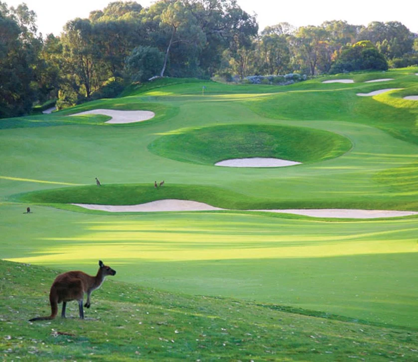 KakaoTalk_20160907_103115994.jpg?type=w1200