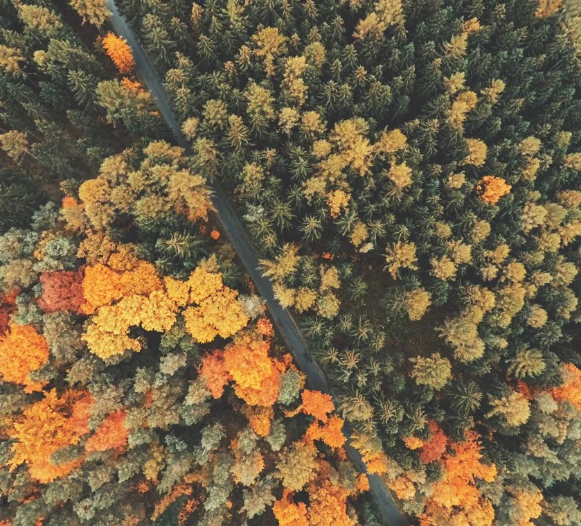 %EC%84%AC.jpg?type=w1200