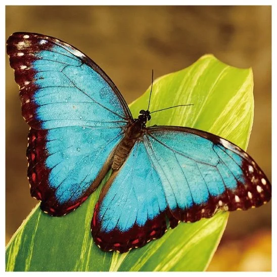 KakaoTalk_20160712_180608743.jpg?type=w1200