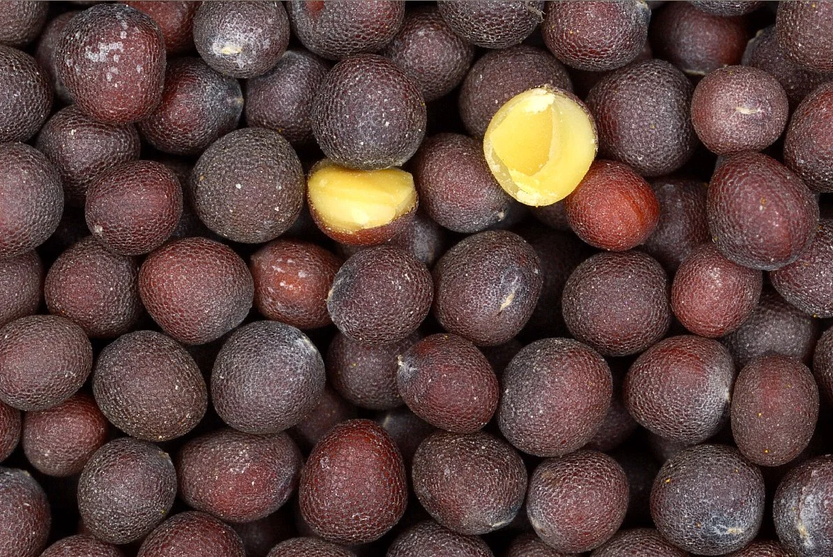 Black-mustard-seeds.jpg?type=w1200