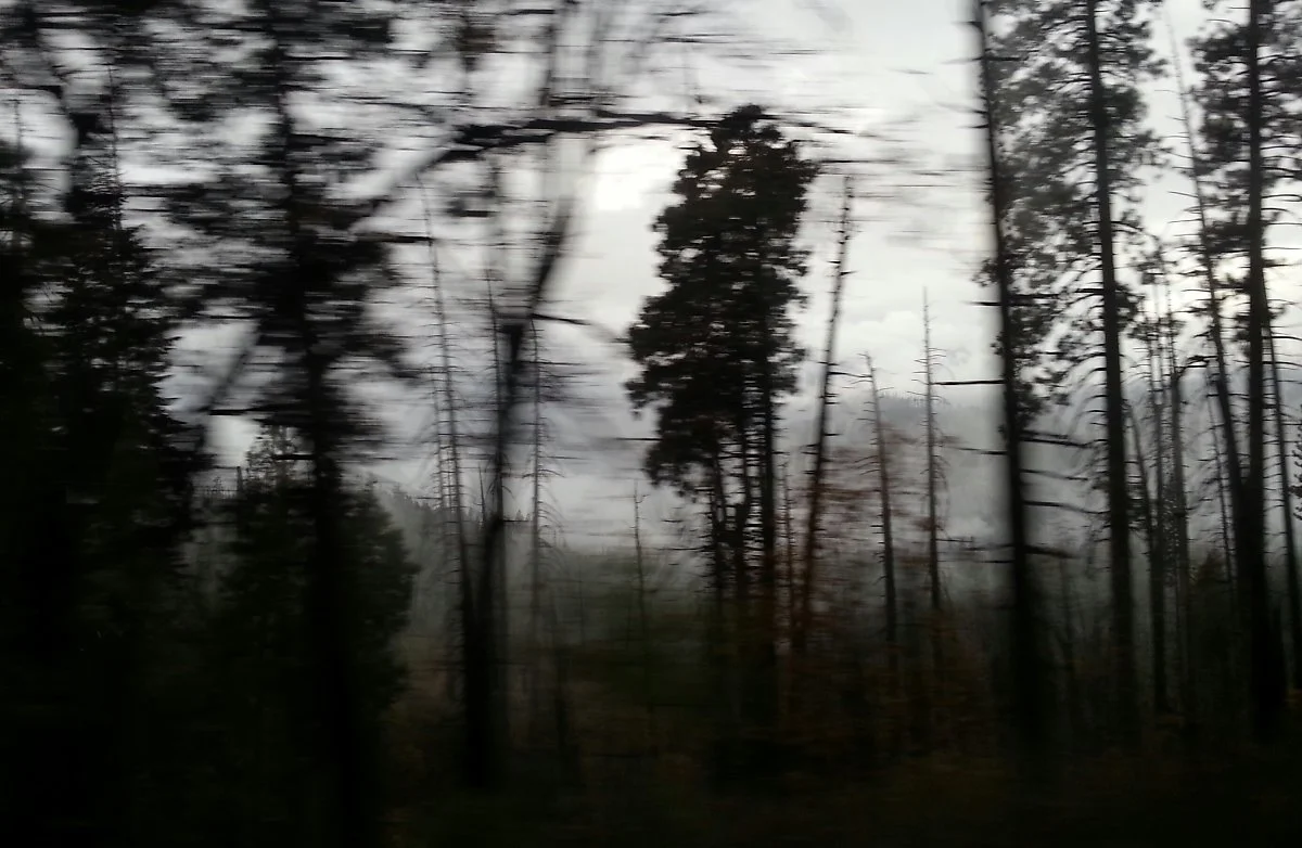 %EB%B3%B4%EC%9D%B4%EB%8A%94_%EA%B2%83%EA%B3%BC_%EB%B3%B4%EC%9D%B4%EC%A7%80_%EC%95%8A%EB%8A%94_%EA%B2%83.jpg?type=w1200