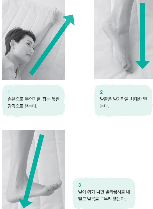 image_8559240401492479819260.png?type=w1200