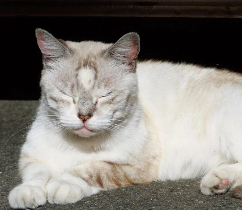 KakaoTalk_20160819_113435826.jpg?type=w1200