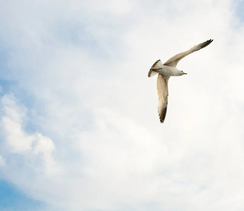 KakaoTalk_20160809_160755883.jpg?type=w1200