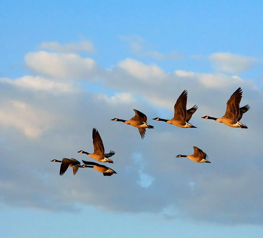 KakaoTalk_20161230_102917020.jpg?type=w1200