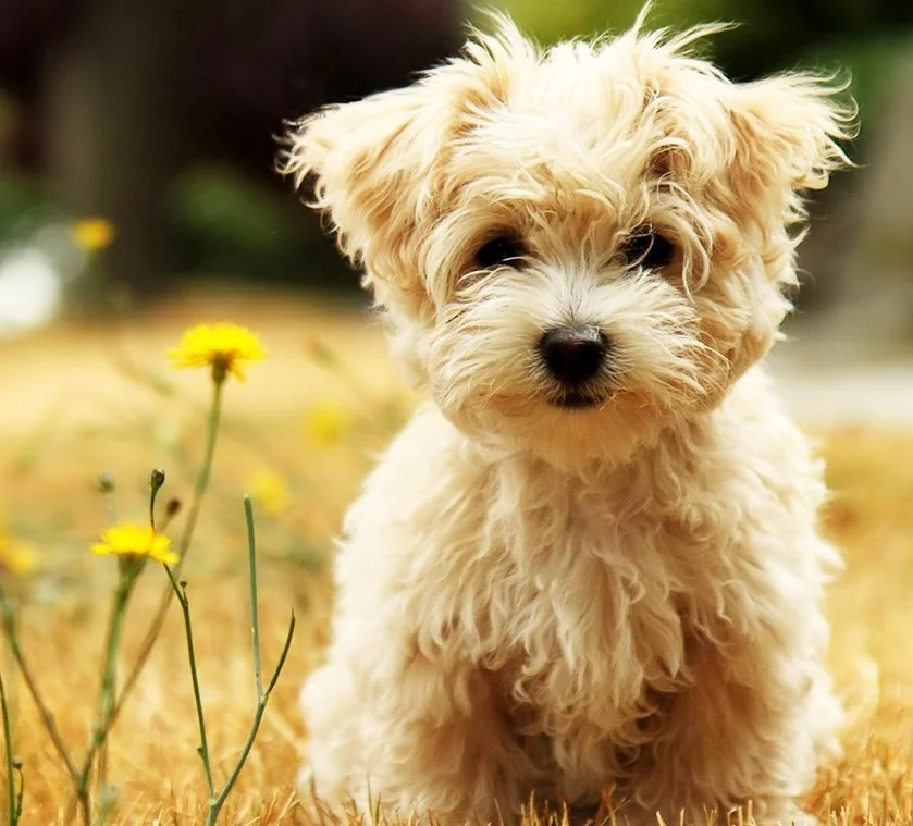 KakaoTalk_20161206_151618576.jpg?type=w1200