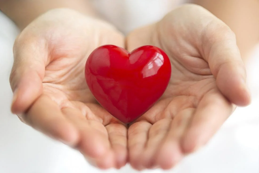 small-heart-held-in-hands1.jpg?type=w1200