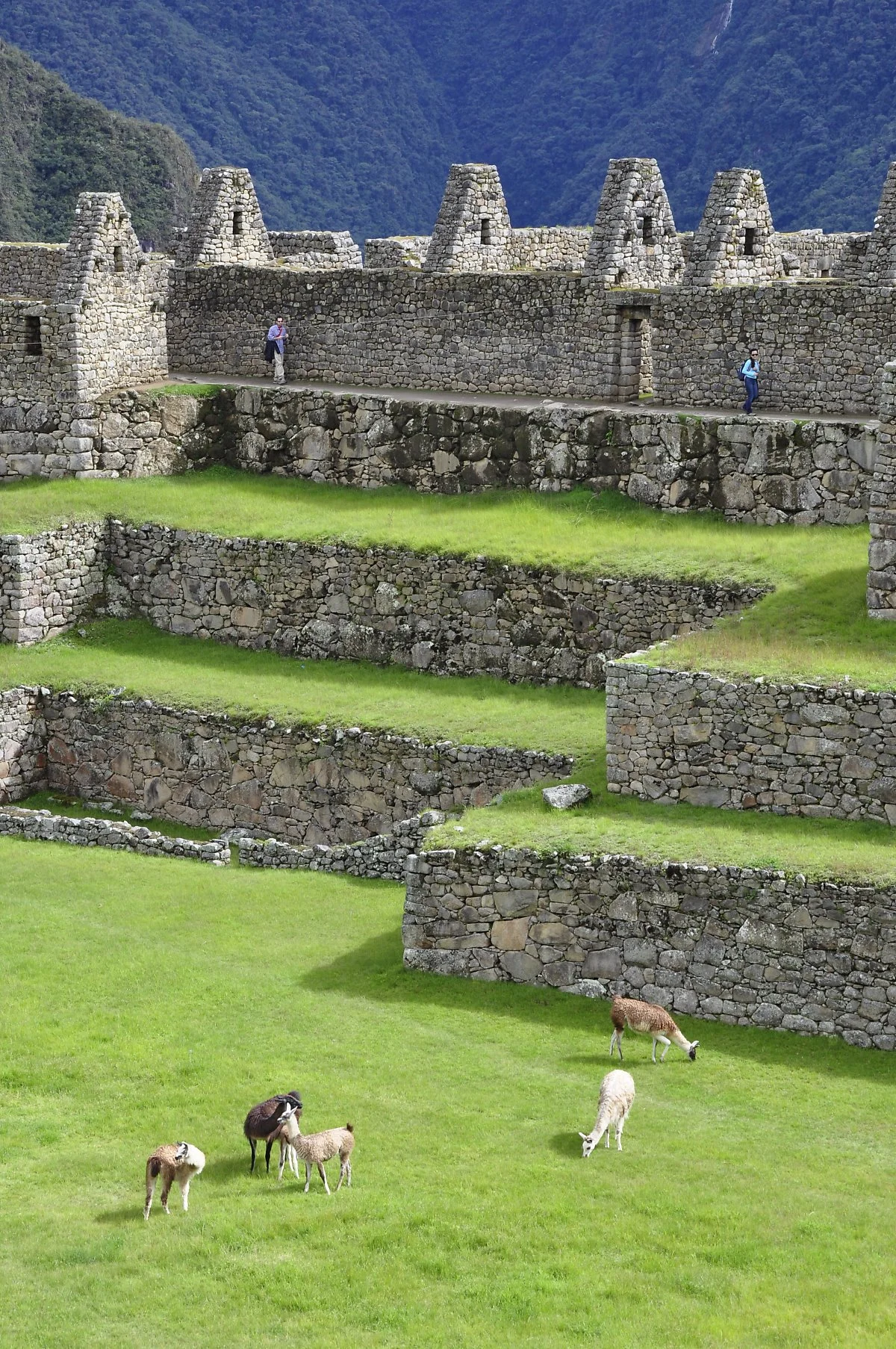 8275261760_00c6464199_o.jpg?type=w1200