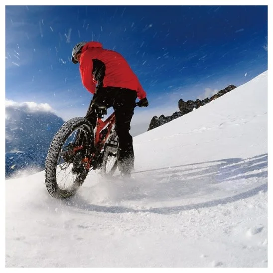 KakaoTalk_20160726_114349489.jpg?type=w1200