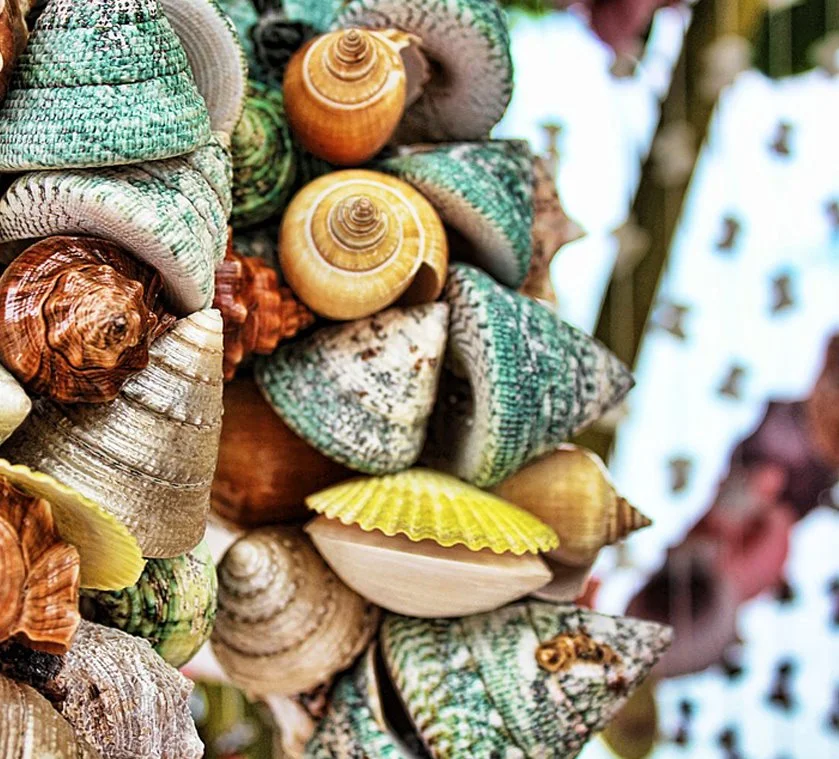 KakaoTalk_20161122_145747548.jpg?type=w1200