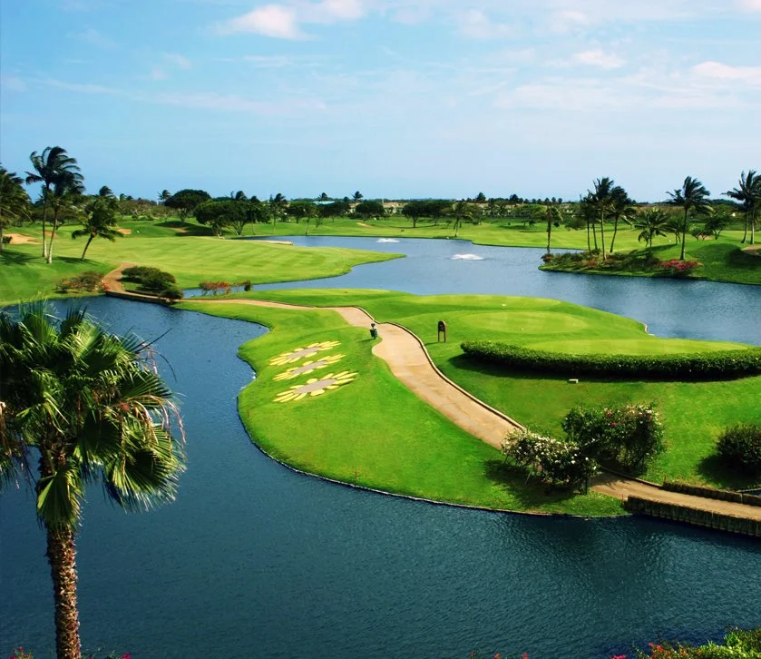 KakaoTalk_20161006_141134047.jpg?type=w1200