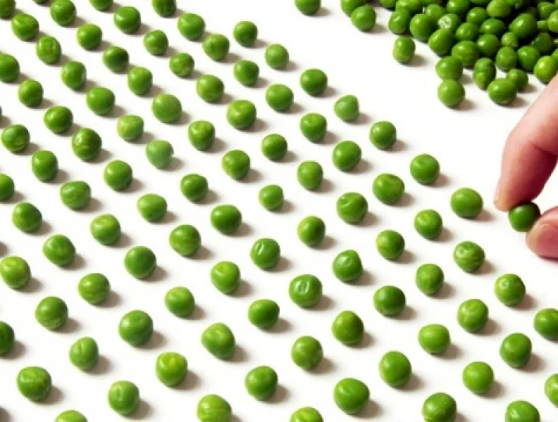 image_4515629991514527564231.jpg?type=w1200