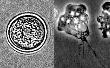 image_5604732641470975169031.jpg?type=w1200