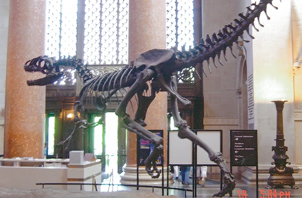 image.png?type=w1200