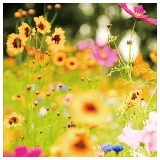 KakaoTalk_20160708_144657752.jpg?type=w1200