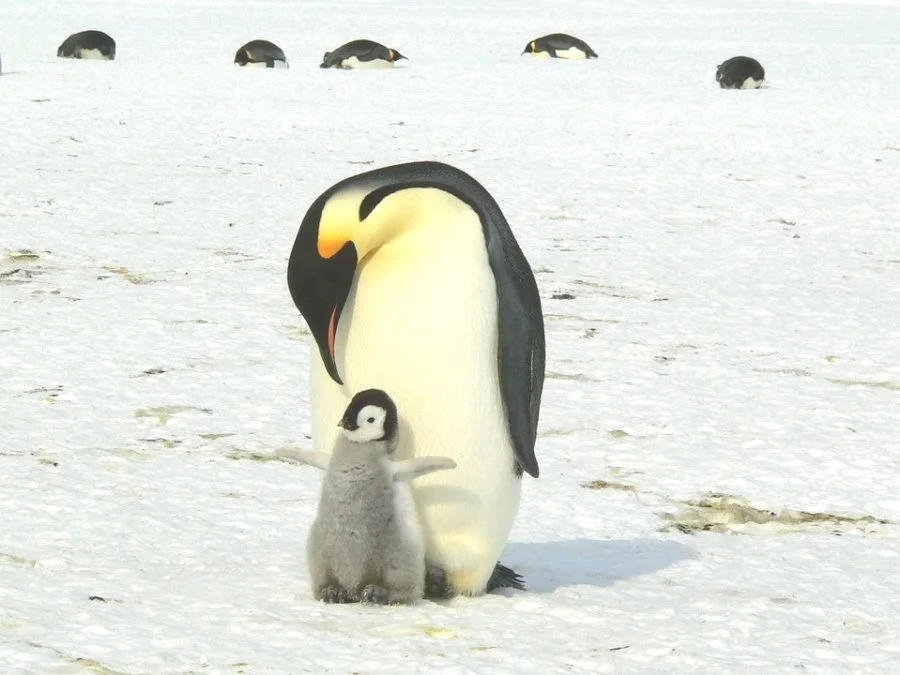 image_379135351495524792176.jpg?type=w1200