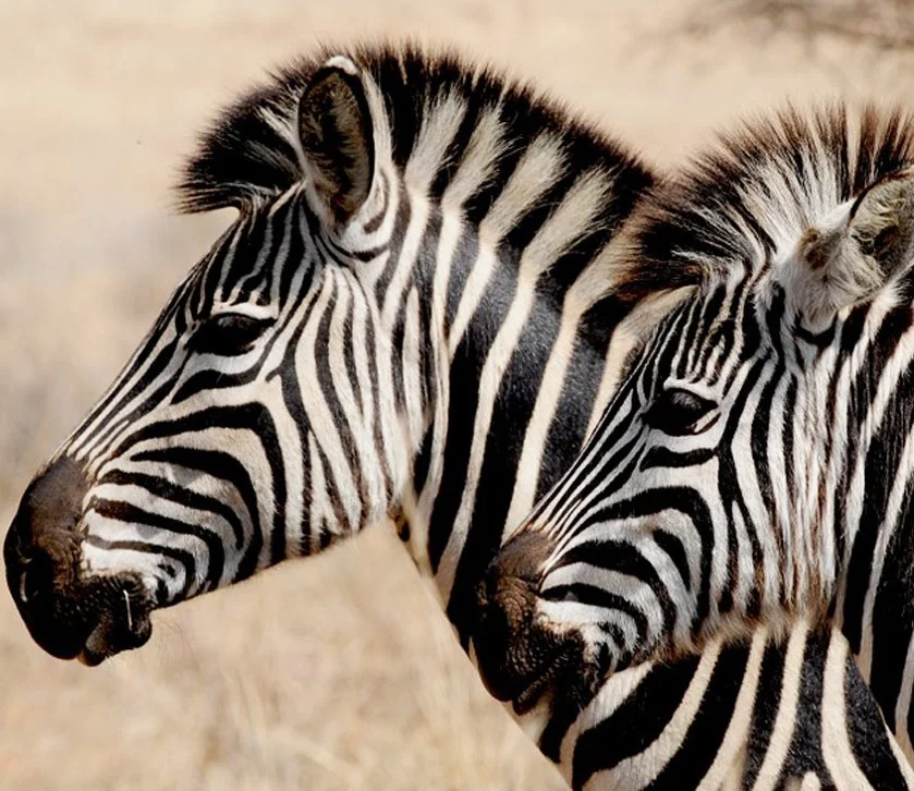 KakaoTalk_20161020_144426720.jpg?type=w1200