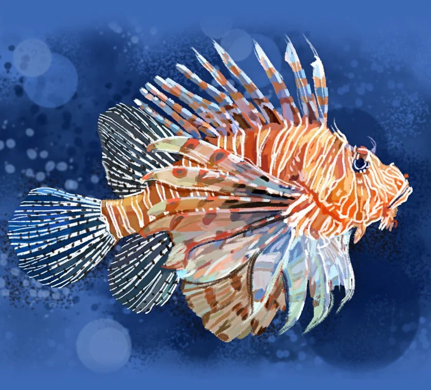 KakaoTalk_20161115_150715994.jpg?type=w1200