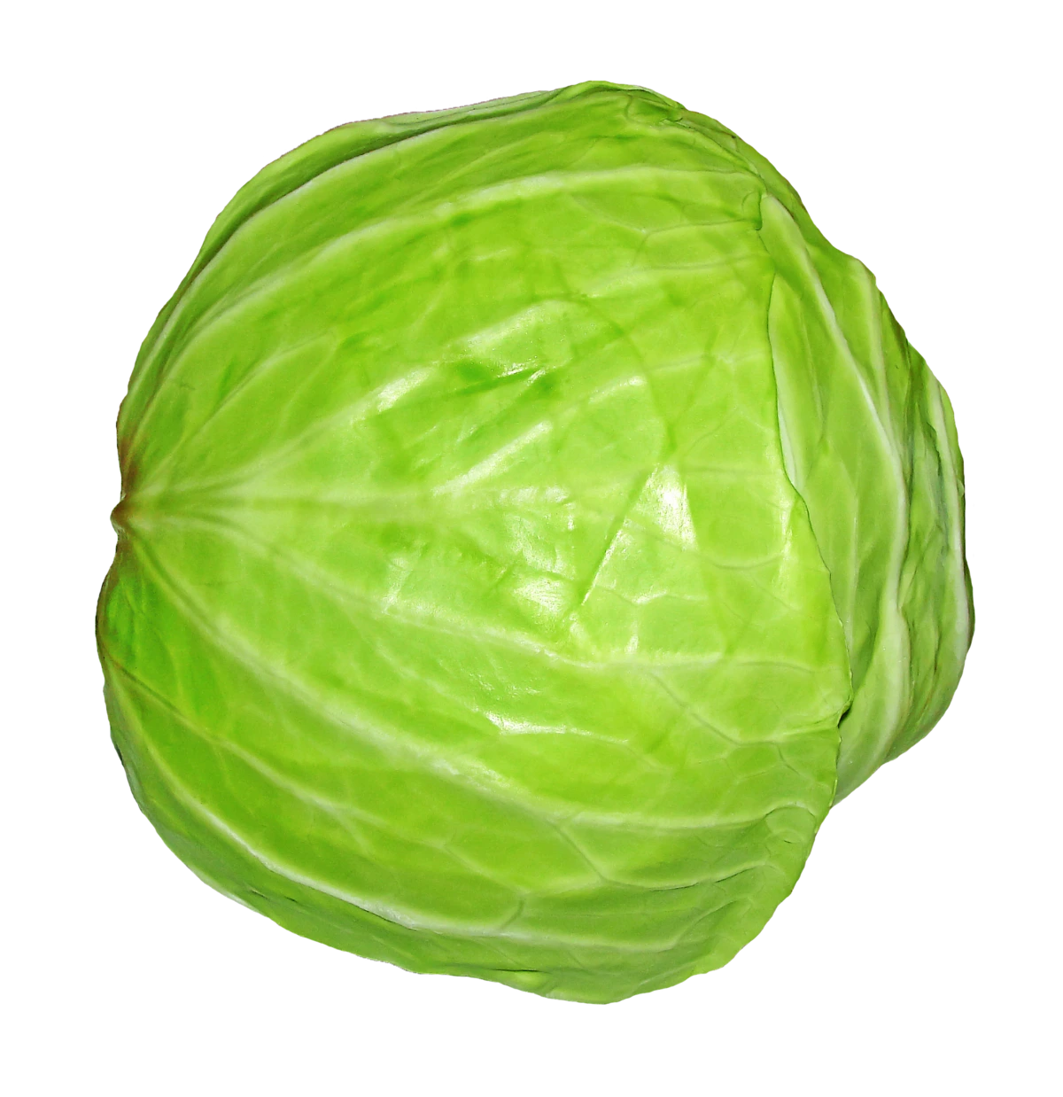 vegetables-678539_1920.png?type=w1200