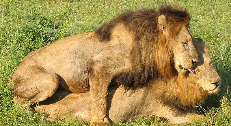 image_3207566431495788941723.png?type=w1200