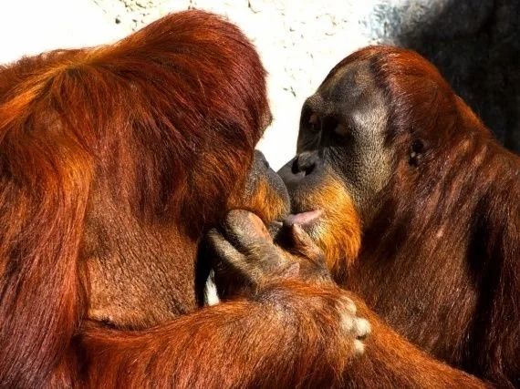 3b59e1585f5a154fc9a69b9b01a38f60.jpg?type=w1200