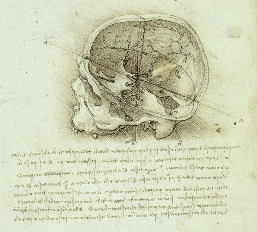 %EC%84%AC.jpg?type=w1200