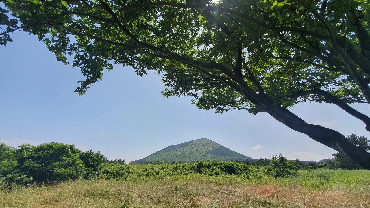 3472481561592555329.jfif