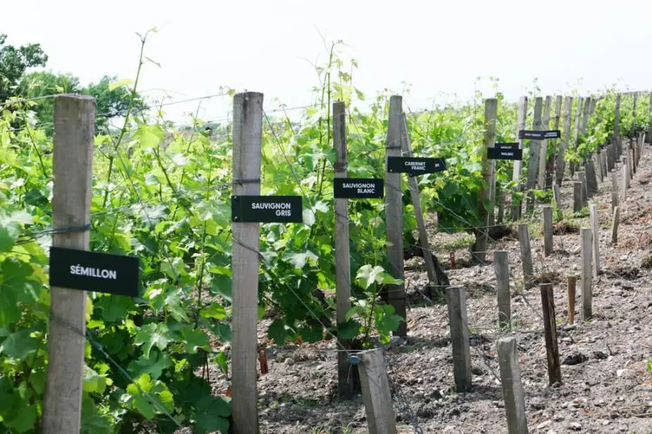 L1015344.jpg?resize=924%2C616&ssl=1