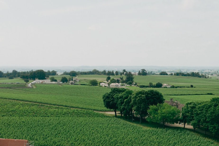 L1015103.jpg?resize=924%2C616&ssl=1