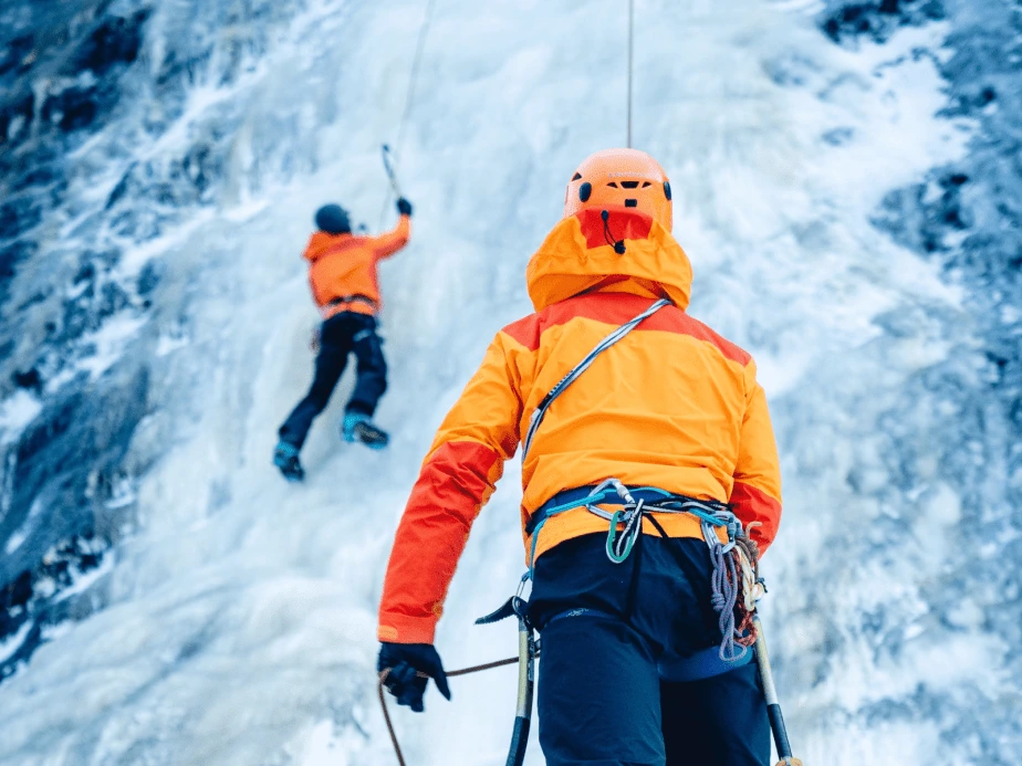 imitation.png?resize=924%2C693&amp;ssl=1