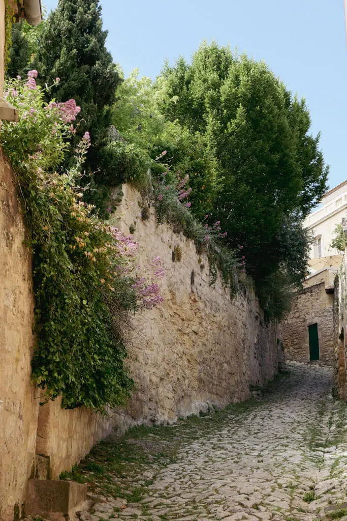 L1015158.jpg?resize=683%2C1024&ssl=1