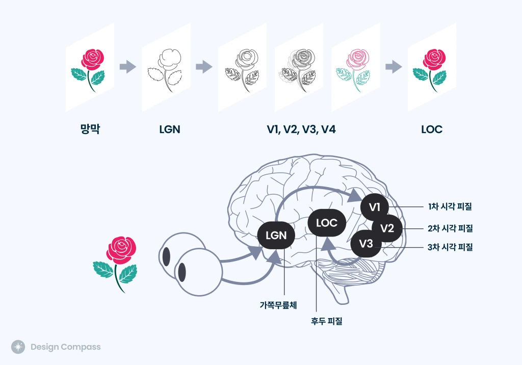 visual-perception-proccess.jpg?w=1024