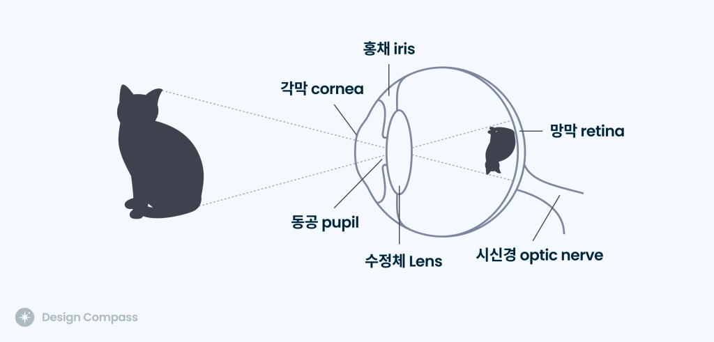 visual-perception-eye.jpg?w=1024
