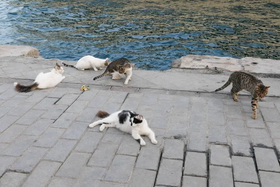 L1048248.jpg?resize=924%2C616&amp;ssl=1