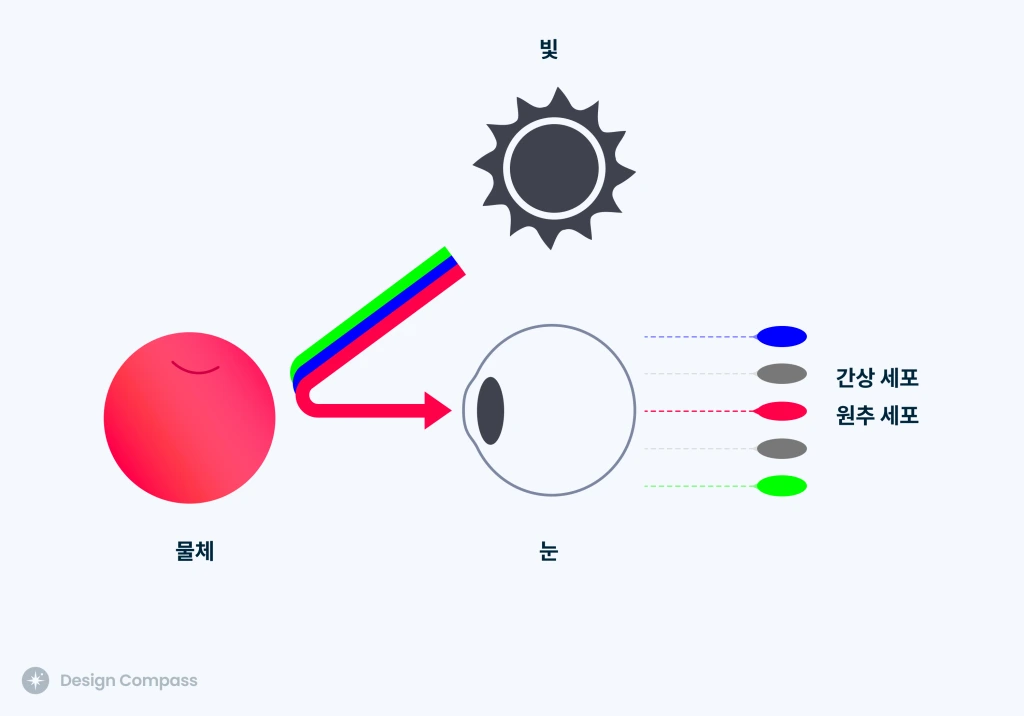 visual-perception-principle-1.jpg?w=1024