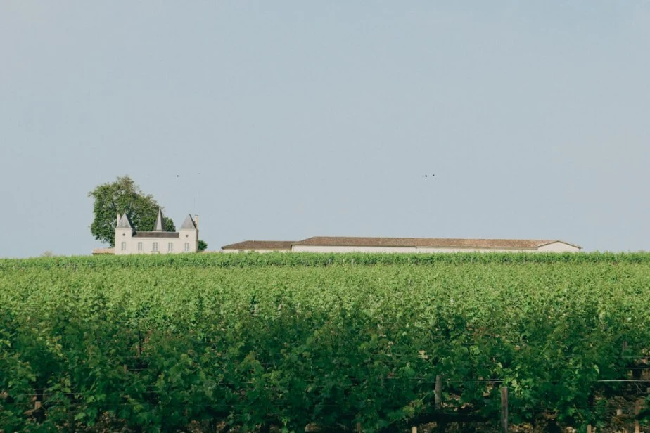 L1015264.jpg?resize=924%2C616&ssl=1