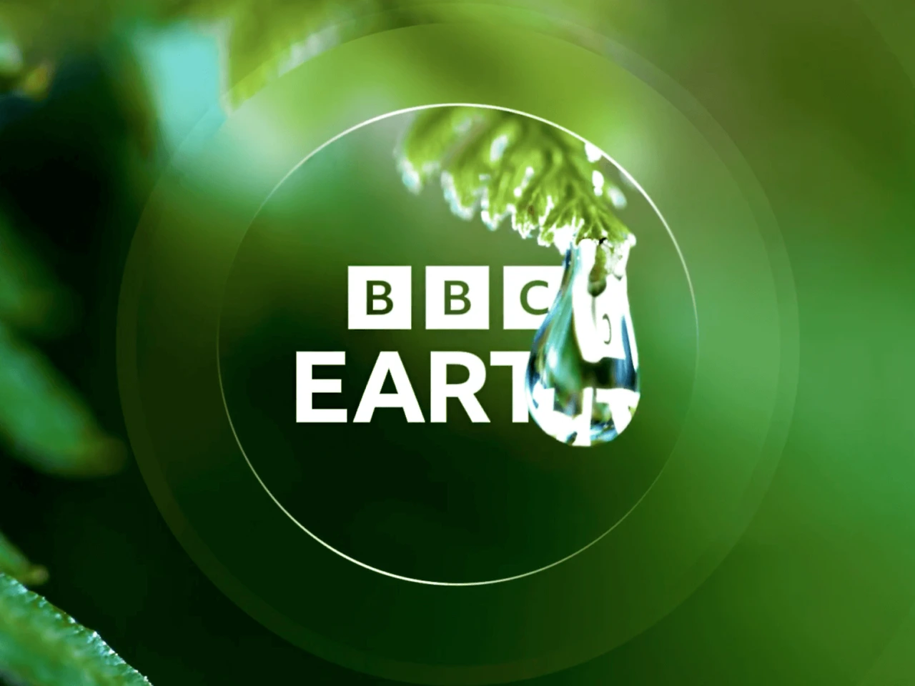 x5jHNSwDGSDnaGUHigw8isRCqh9ATl9g9vLZRTF7hWeT-sMI_wOBadktSyBuP-ghu1haMuWIckB86ztpb0DnkObdp0C7RmKSRD3jbkXwEDzh8vKCpA5dncVcy_Xy1VVvxw=s0-d-e1-ft