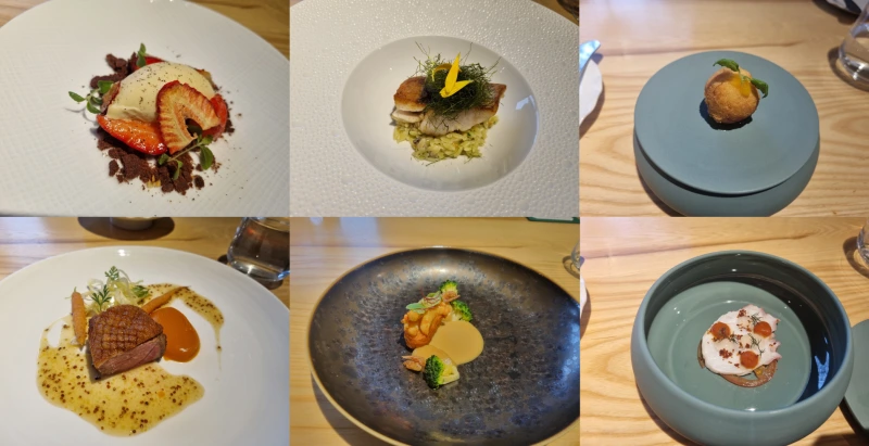 %ED%8C%8C%EC%9D%B8%EB%8B%A4%EC%9D%B4%EB%8B%9D_%EC%95%8C%EB%A0%88%EC%A6%88_%EC%BD%94%EC%8A%A4%EC%9A%94%EB%A6%AC.png?type=w800