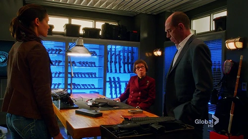 213E9C4F52DBE81C325CF6