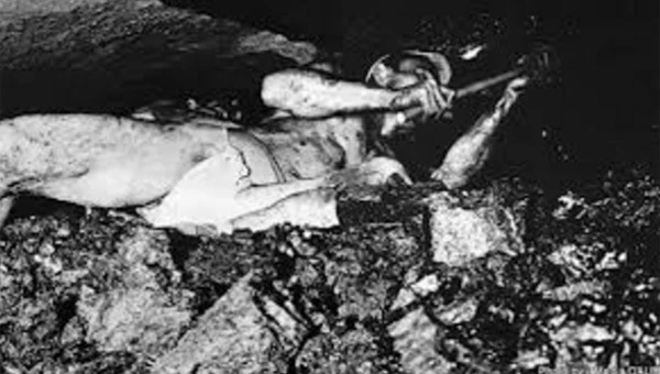 275011475890C08E0411BD