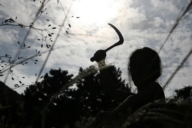 kimboknam_bodostill_01.jpg?resize=666%2C444