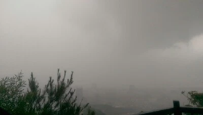 IMAG6114.jpg?type=w773