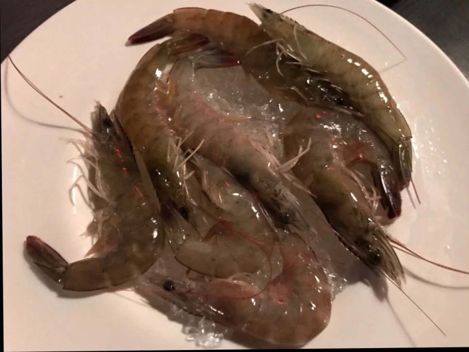 image_3376831431481562101877.jpg?type=w966