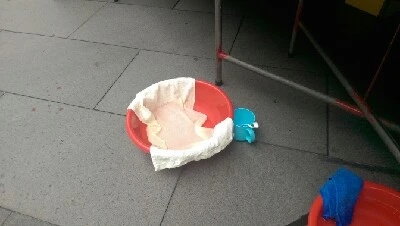 IMAG6355.jpg?type=w773