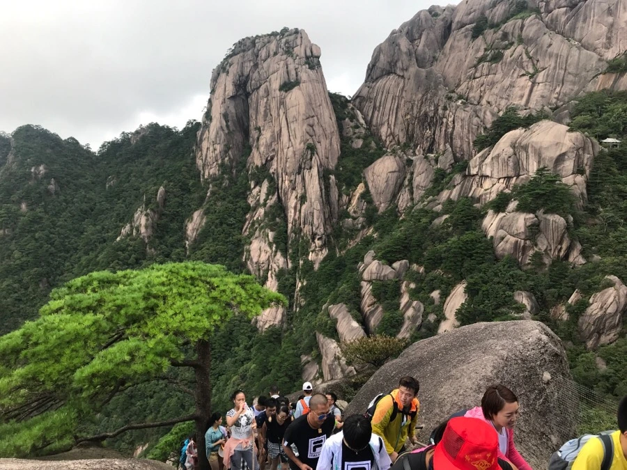 IMG_0861.jpg?type=w966