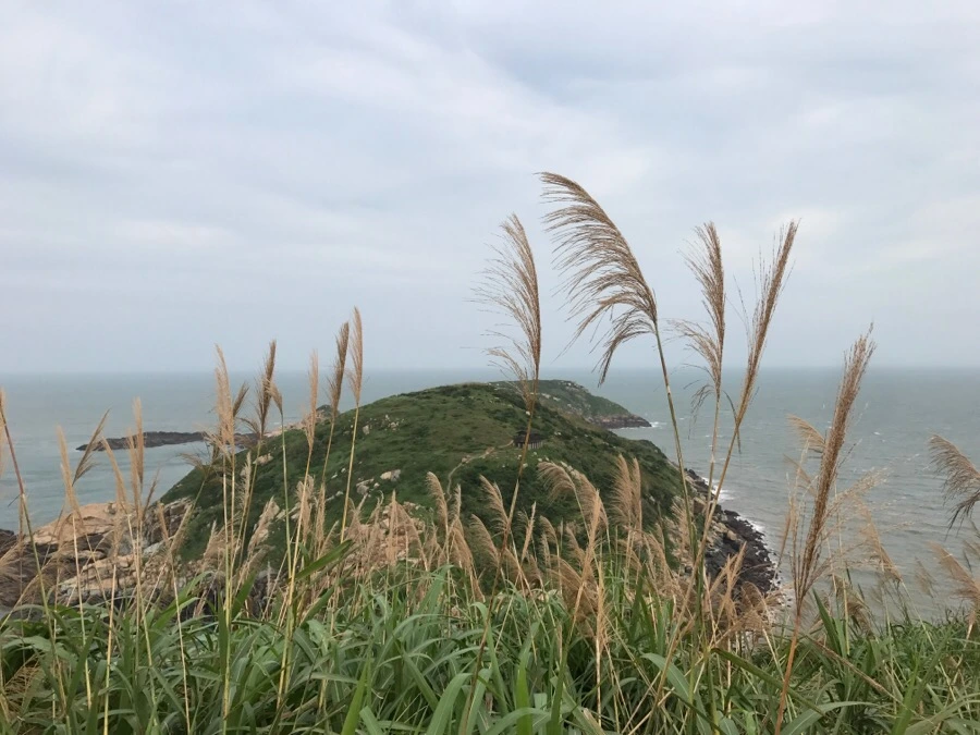 IMG_8578.jpg?type=w966