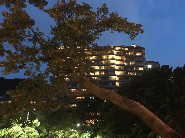 attachImage_3085035835.jpeg?type=w773