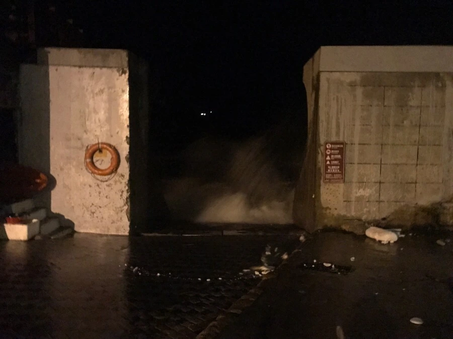 IMG_8351.jpg?type=w966