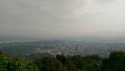 IMAG5992.jpg?type=w773