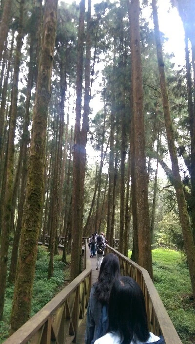 IMAG4938.jpg?type=w773